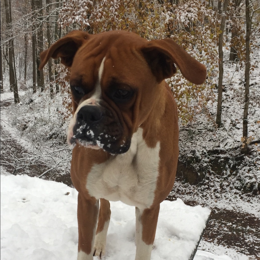 Meet your Posher, Makenzie